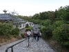 img_8828 img_8828