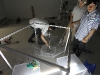 img_0003 img_0003