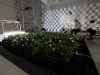 img_9998 img_9998