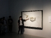 img_0417 img_0417