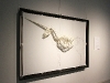 img_0455 img_0455