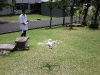img_0835 img_0835