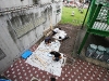 img_1552 img_1552