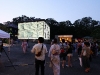 img_1747 img_1747