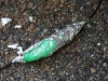 img_1762 img_1762