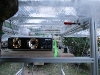 img_2320 img_2320