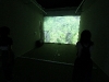 img_2699 img_2699
