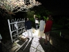 img_4113 img_4113