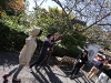 img_4478 img_4478