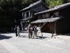 img_4485 img_4485