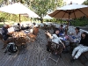 img_4967 img_4967