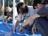 img_5433 img_5433