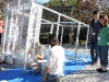 img_5442 img_5442