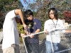 img_5526 img_5526
