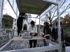 img_6268 img_6268