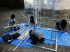 img_7137 img_7137