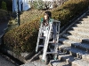 img_7151 img_7151