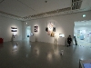 img_7950 img_7950