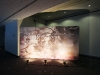 img_8010 img_8010
