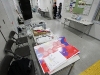img_8490 img_8490