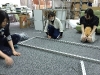 img_8846 img_8846