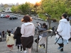 img_4977 img_4977