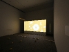 img_5220 img_5220