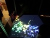 img_5439 img_5439