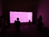 img_5560 img_5560