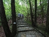 img_6877 img_6877