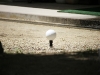 img_8823 img_8823