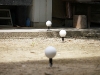 img_8835 img_8835