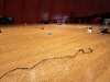 img_9513 img_9513