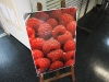 img_0672 img_0672