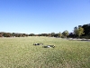 img_0929 img_0929
