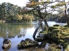 img_0972 img_0972