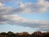img_2899 img_2899
