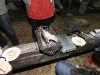 img_3446 img_3446