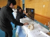 img_3833 img_3833