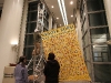 img_4393 img_4393