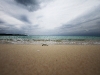 img_5981 img_5981