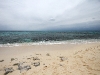 img_5999 img_5999