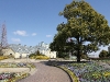 img_7170 img_7170