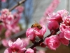 img_7317 img_7317