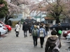 IMG_7810 IMG_7810