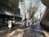 IMG_7845 IMG_7845