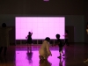 IMG_8431 IMG_8431