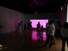 IMG_8500 IMG_8500
