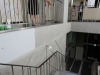 IMG_9533 IMG_9533