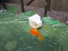 IMG_9570 IMG_9570